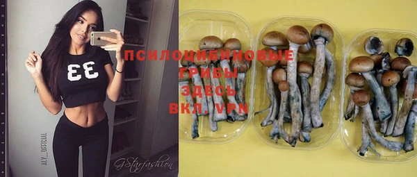кокс Гусев