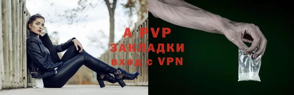 кокс Гусев