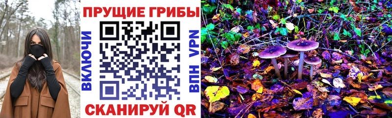 купить  цена  MEGA как войти  Галлюциногенные грибы MAGIC MUSHROOMS  Ельня 